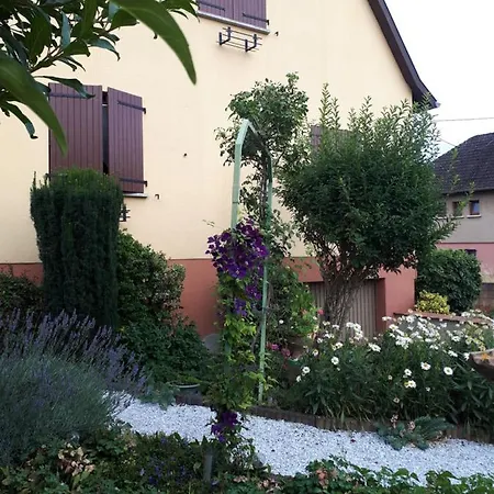 Le Chouette Gite Selestat Exterior photo