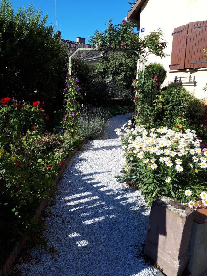 Le Chouette